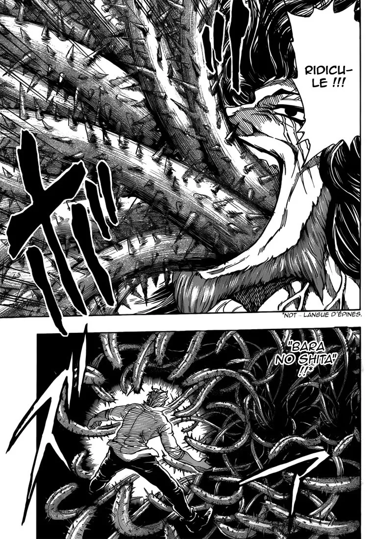 Toriko - 248 - 65569f827cbe1.webp
