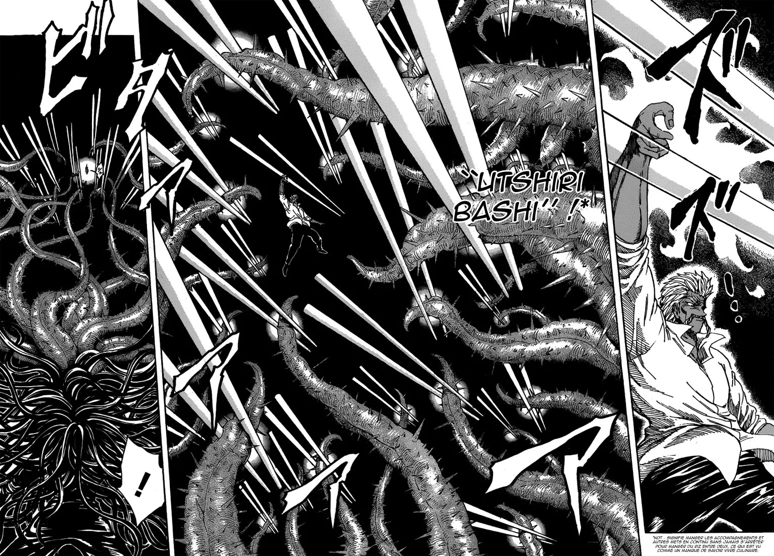Toriko - 248 - 65569f82da9bd.webp