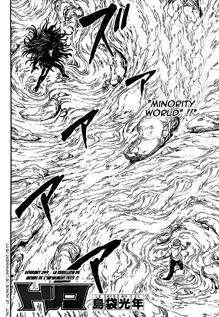 Toriko - 249 - 65569f85881a1.webp