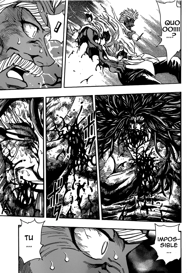 Toriko - 249 - 65569f887db73.webp