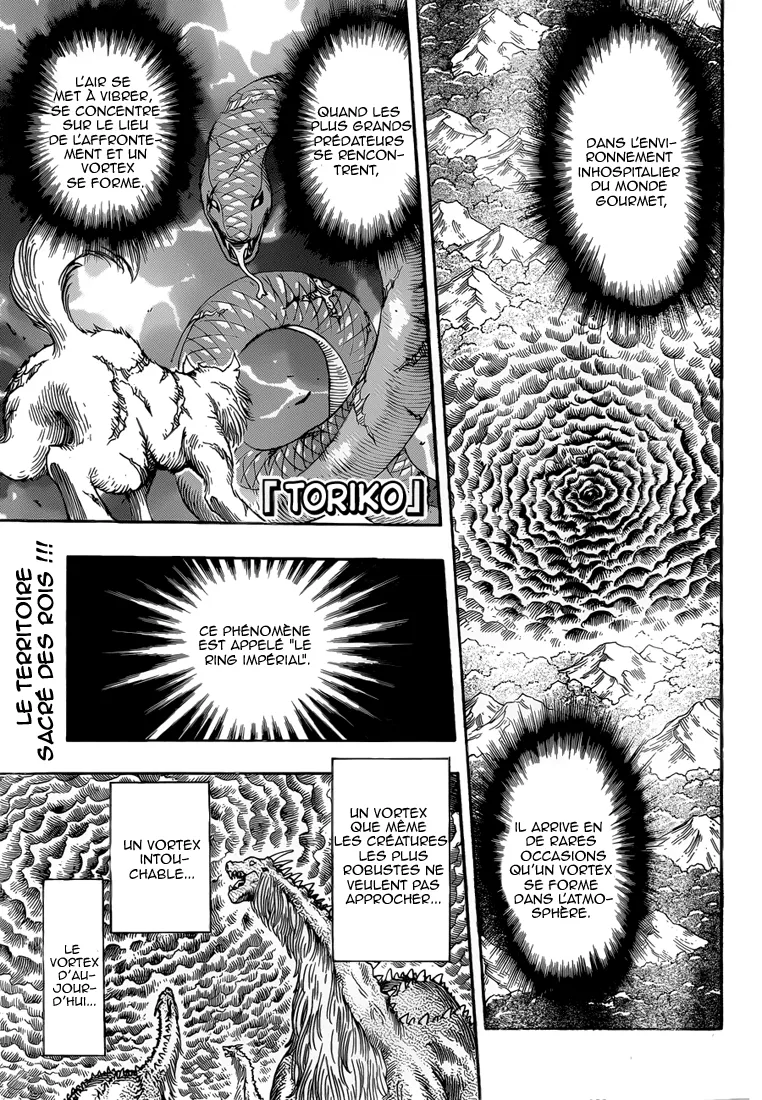 Toriko - 250 - 65569f8c6fc37.webp