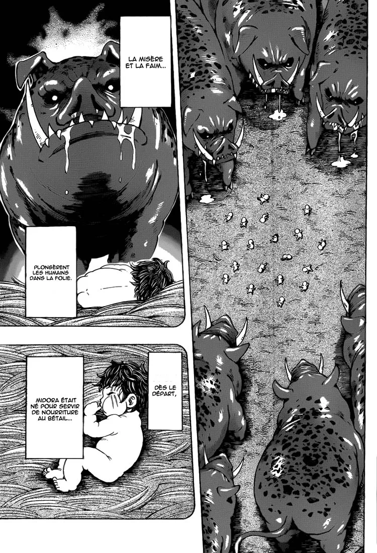Toriko - 250 - 65569f8f25aa4.webp