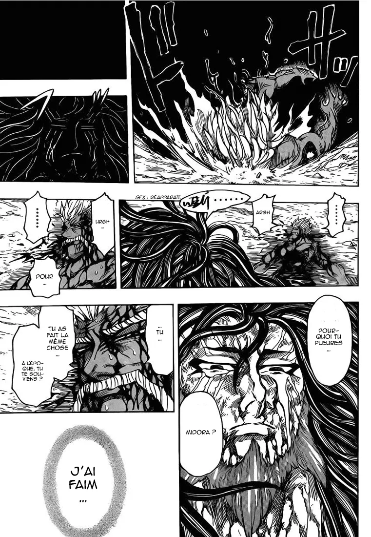 Toriko - 254 - 65569f9d45847.webp