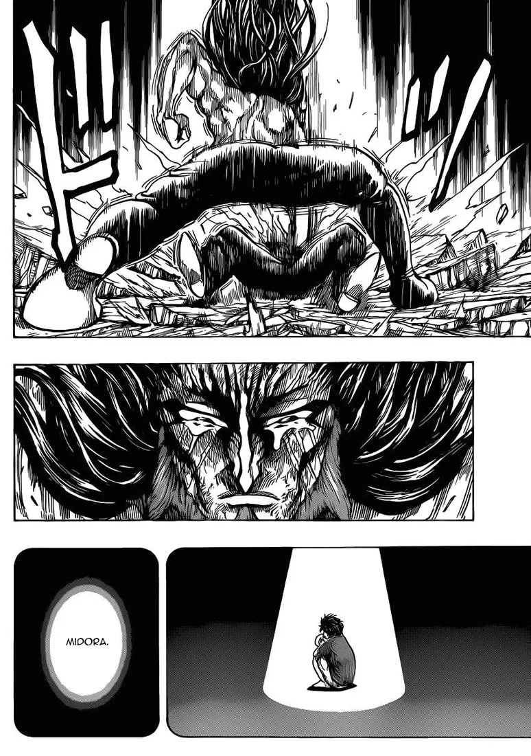 Toriko - 254 - 65569f9de2d8d.webp