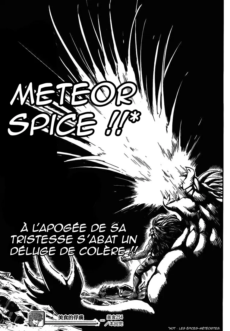Toriko - 254 - 65569f9e6c777.webp