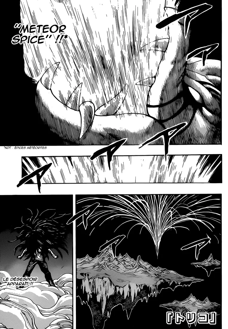 Toriko - 255 - 65569f9e9e50b.webp