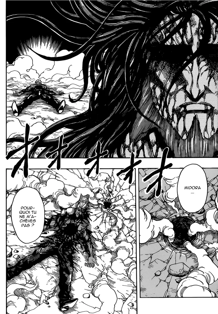 Toriko - 255 - 65569f9ed23a1.webp
