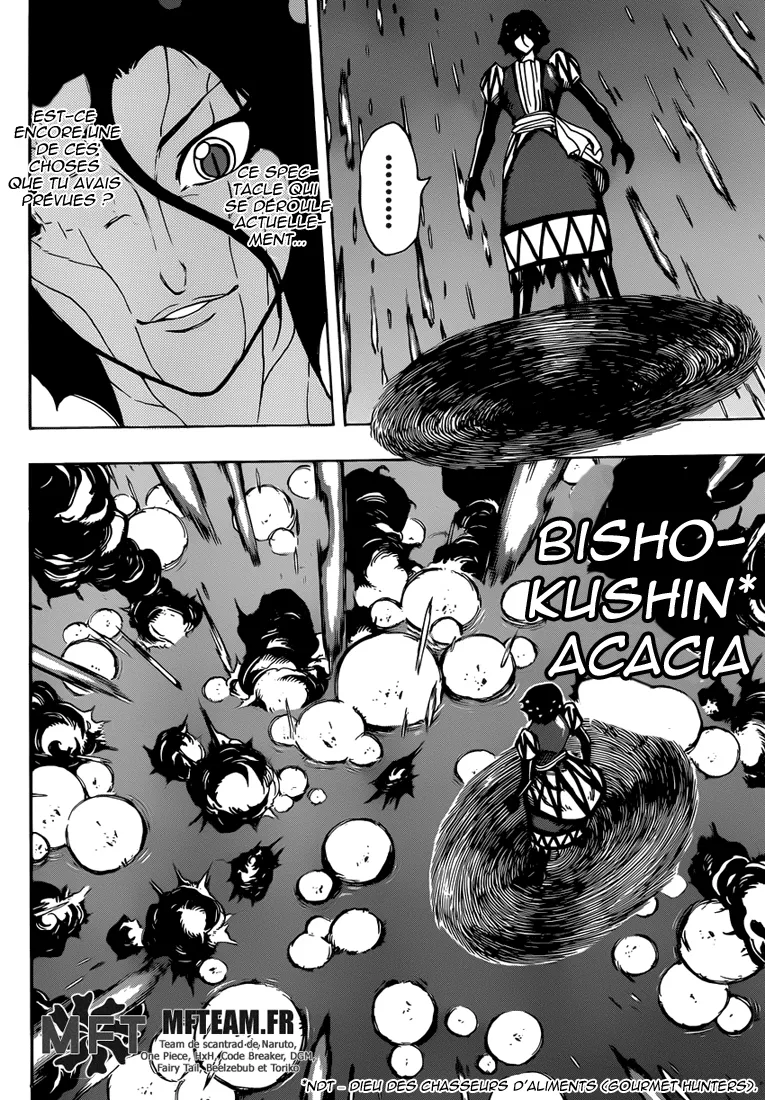 Toriko - 255 - 65569fa17e3c0.webp
