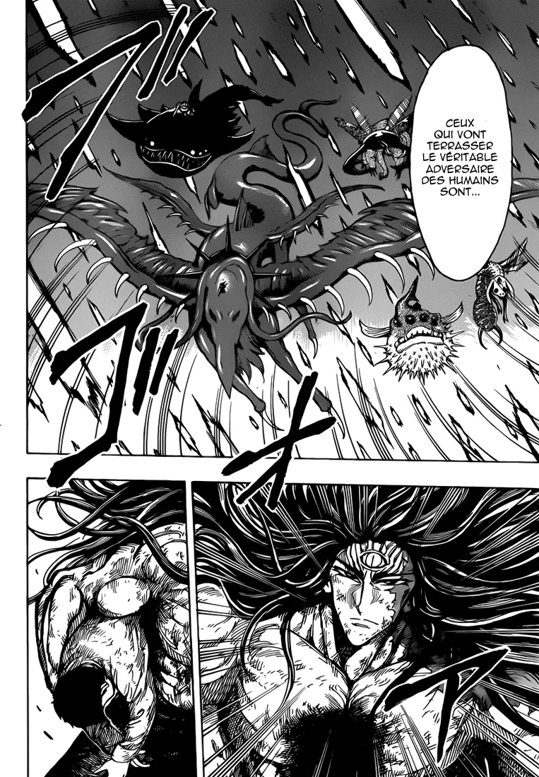 Toriko - 255 - 65569fa1ea181.webp