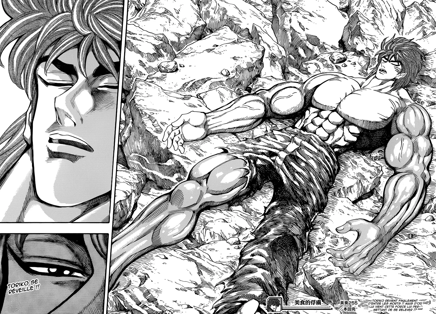 Toriko - 255 - 65569fa2b0c5e.webp