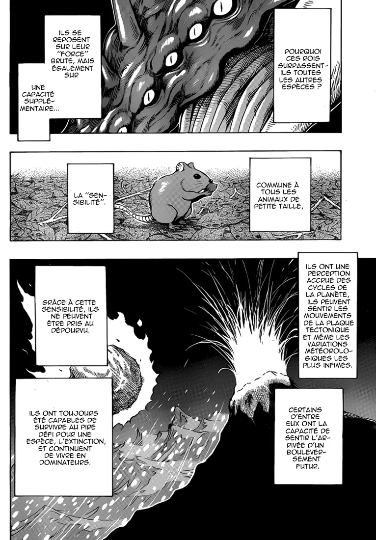 Toriko - 256 - 65569fa3205a3.webp