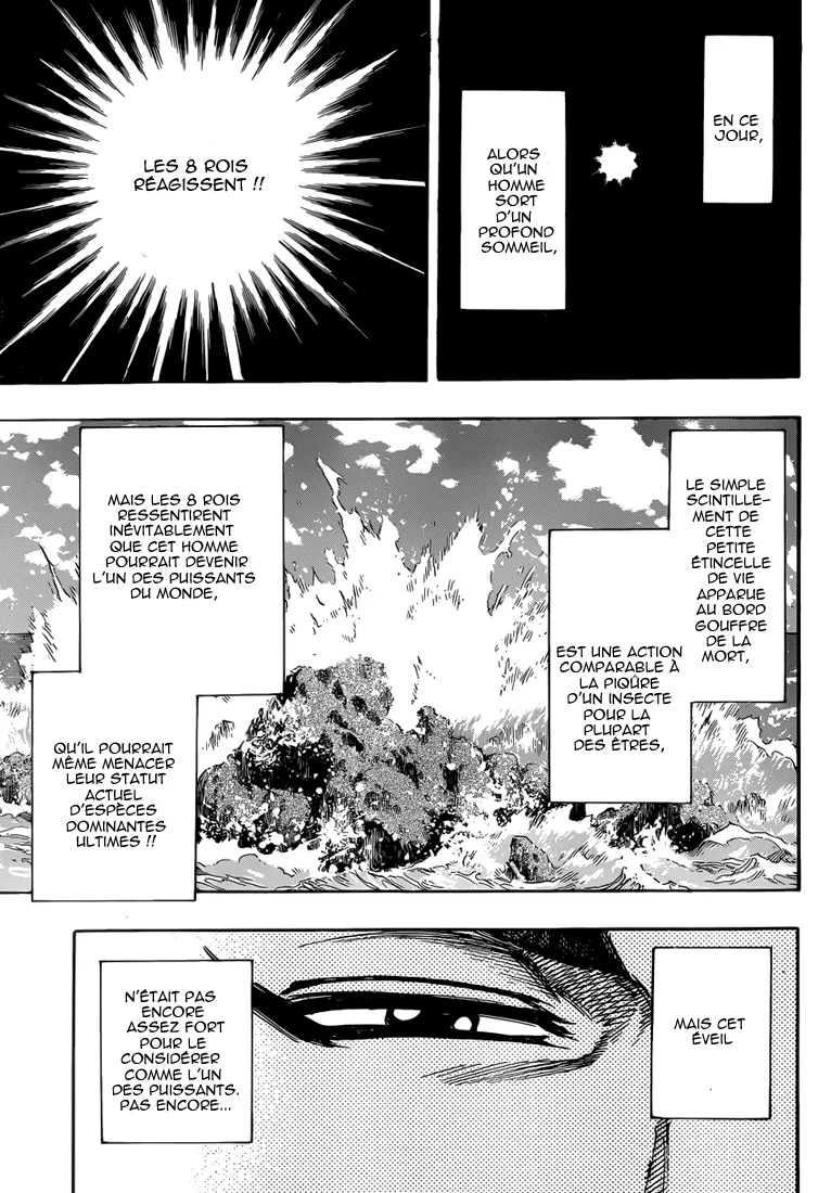 Toriko - 256 - 65569fa34e35a.webp