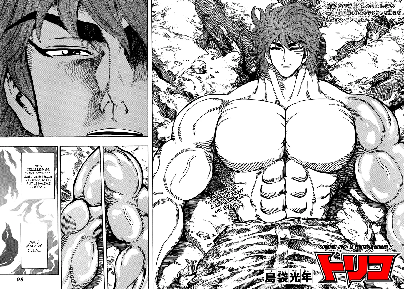 Toriko - 256 - 65569fa3b4fdd.webp