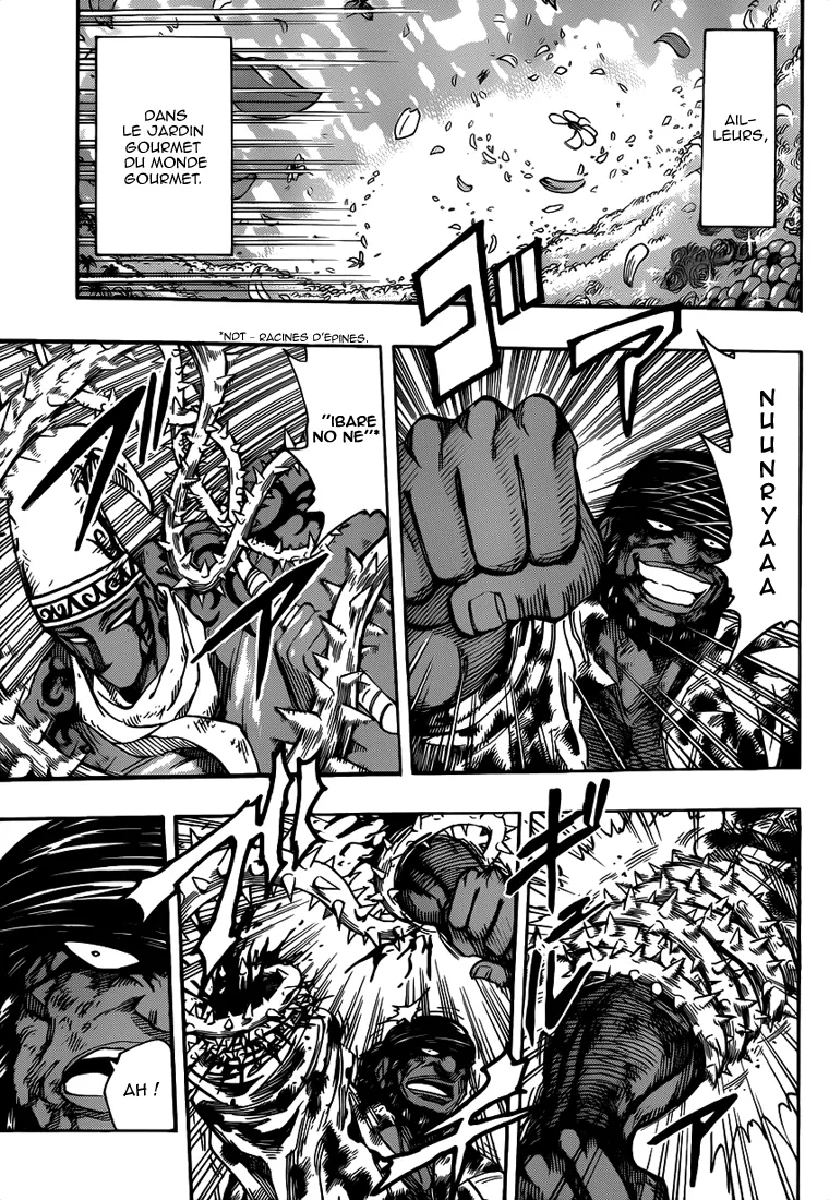 Toriko - 256 - 65569fa474b29.webp