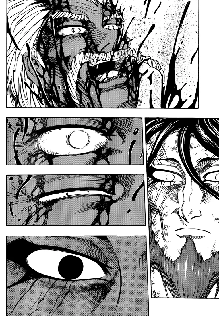 Toriko - 256 - 65569fa64bd1e.webp