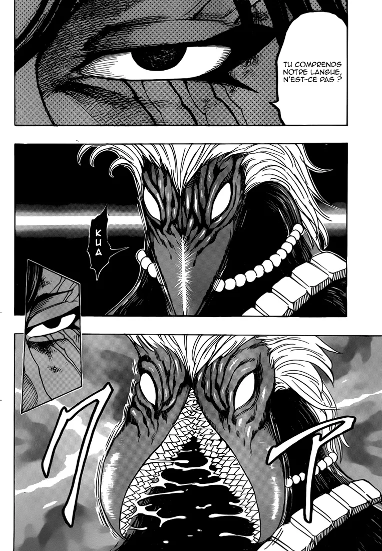 Toriko - 257 - 65569fa6f13f7.webp