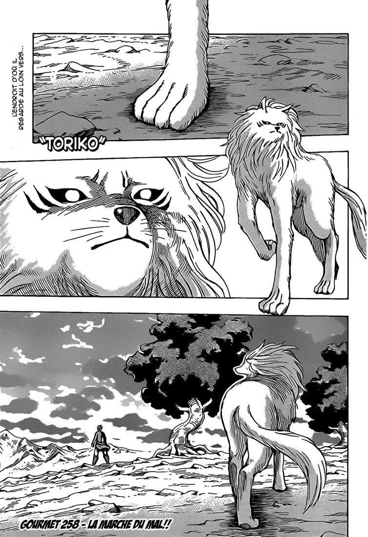 Toriko - 258 - 65569fab05774.webp