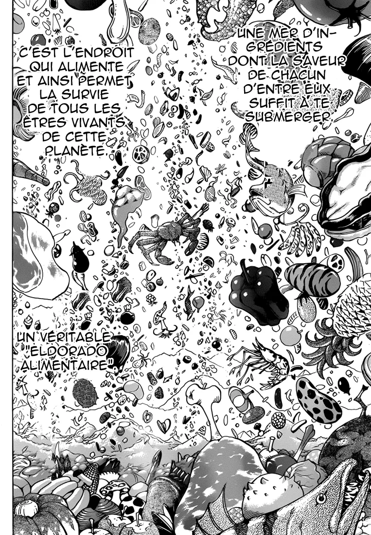 Toriko - 259 - 65569fb0cde96.webp