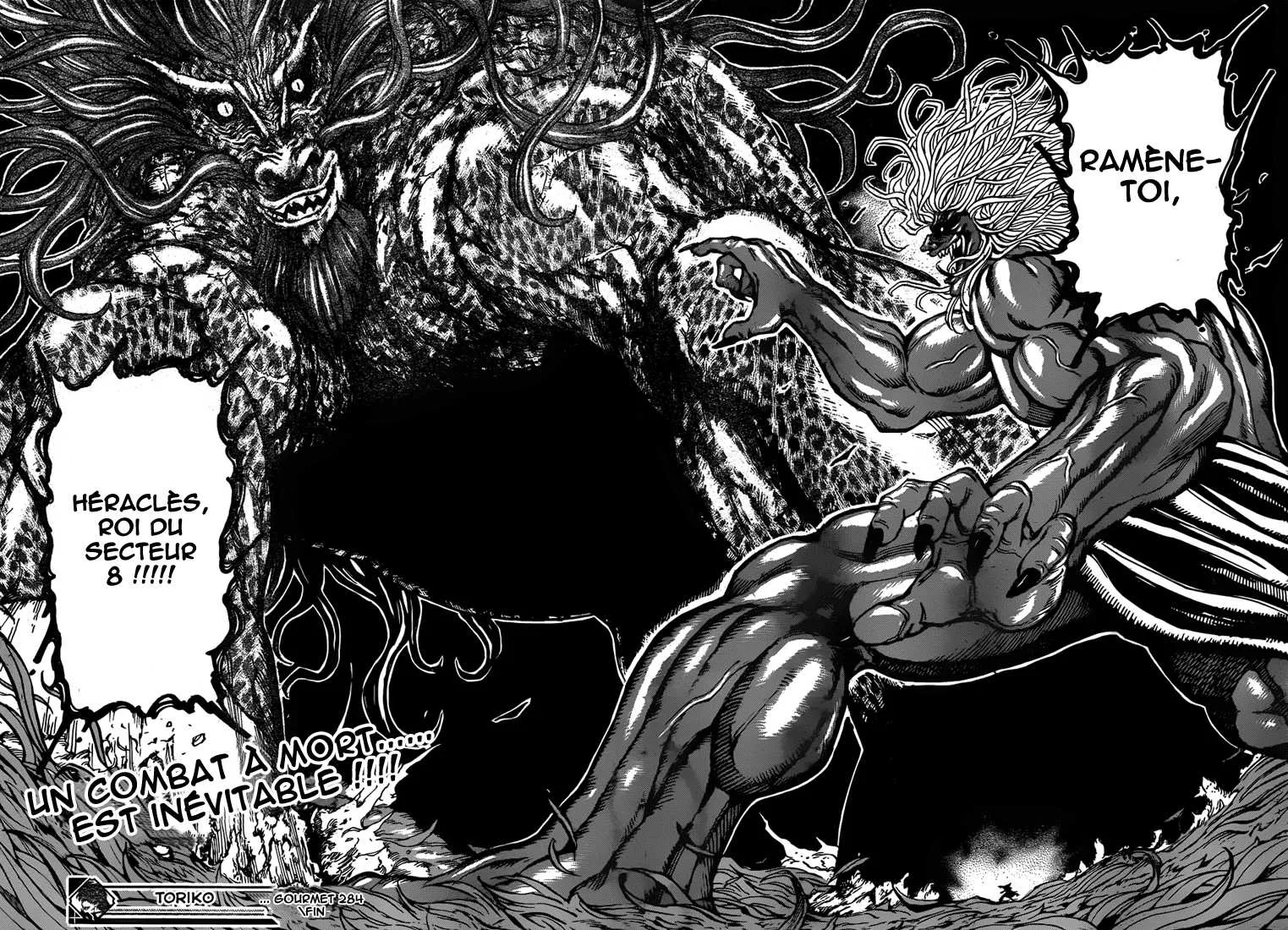 Toriko - 284 - 6556a01682d03.webp