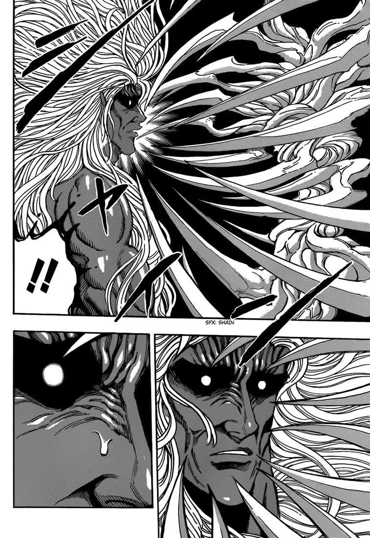 Toriko - 286 - 6556a01bcb4fc.webp