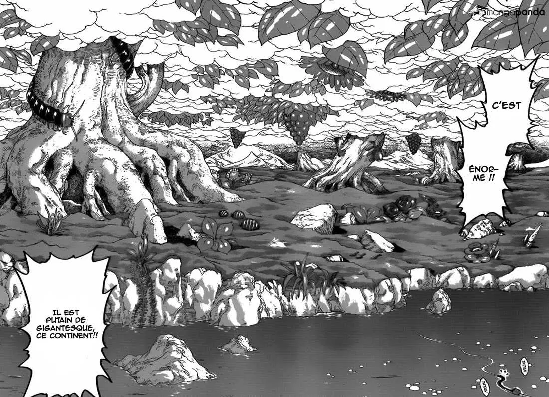 Toriko - 296 - 6556a044a0469.webp