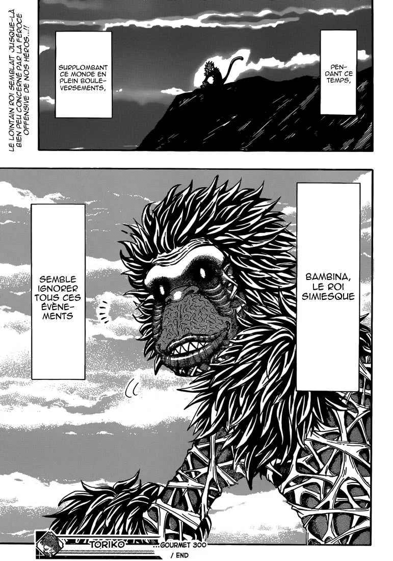 Toriko - 300 - 6556a05a62636.webp