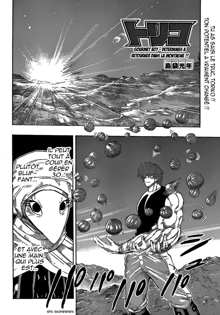 Toriko - 307 - 6556a0707ba20.webp