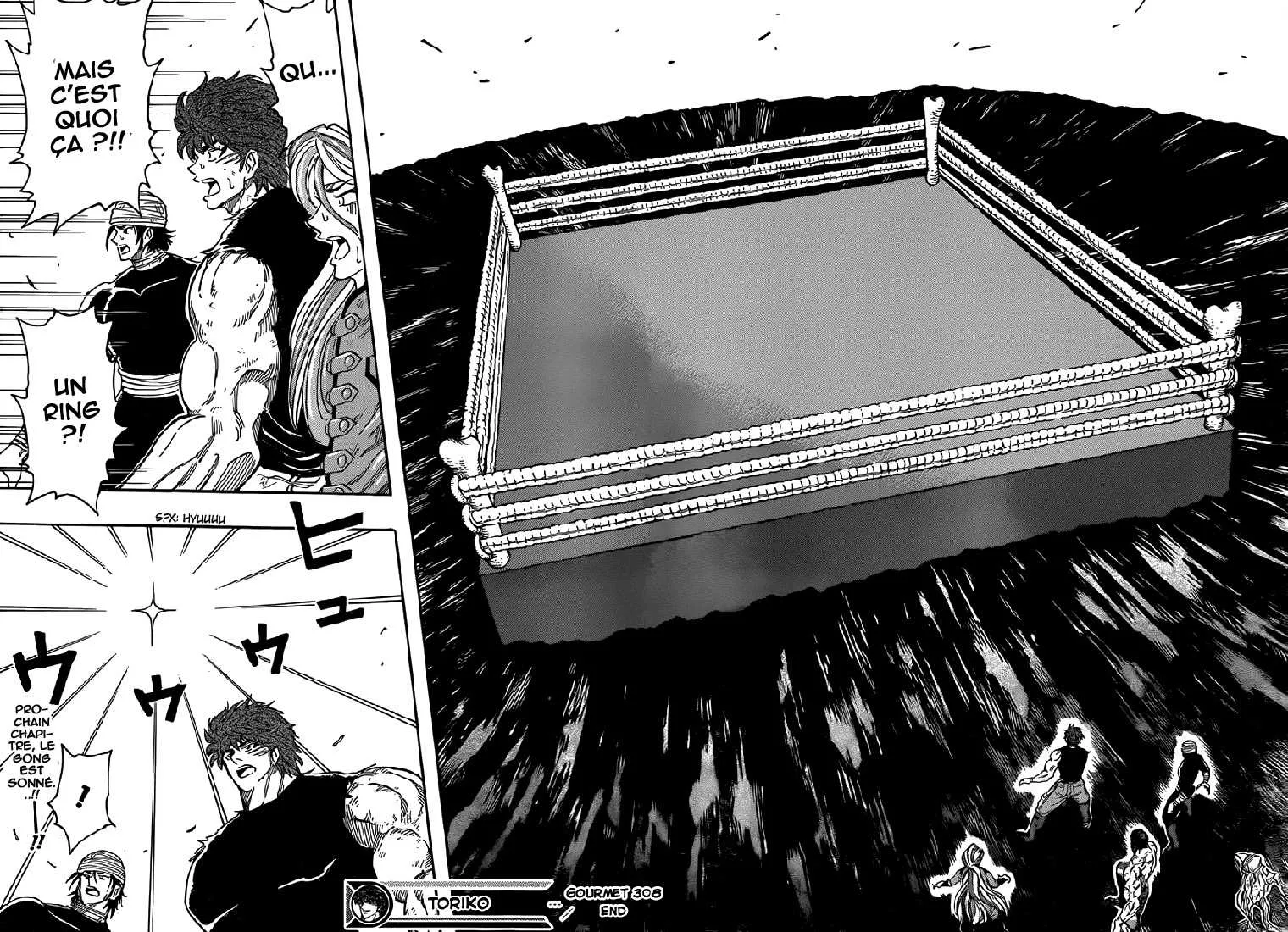 Toriko - 308 - 6556a076b066b.webp