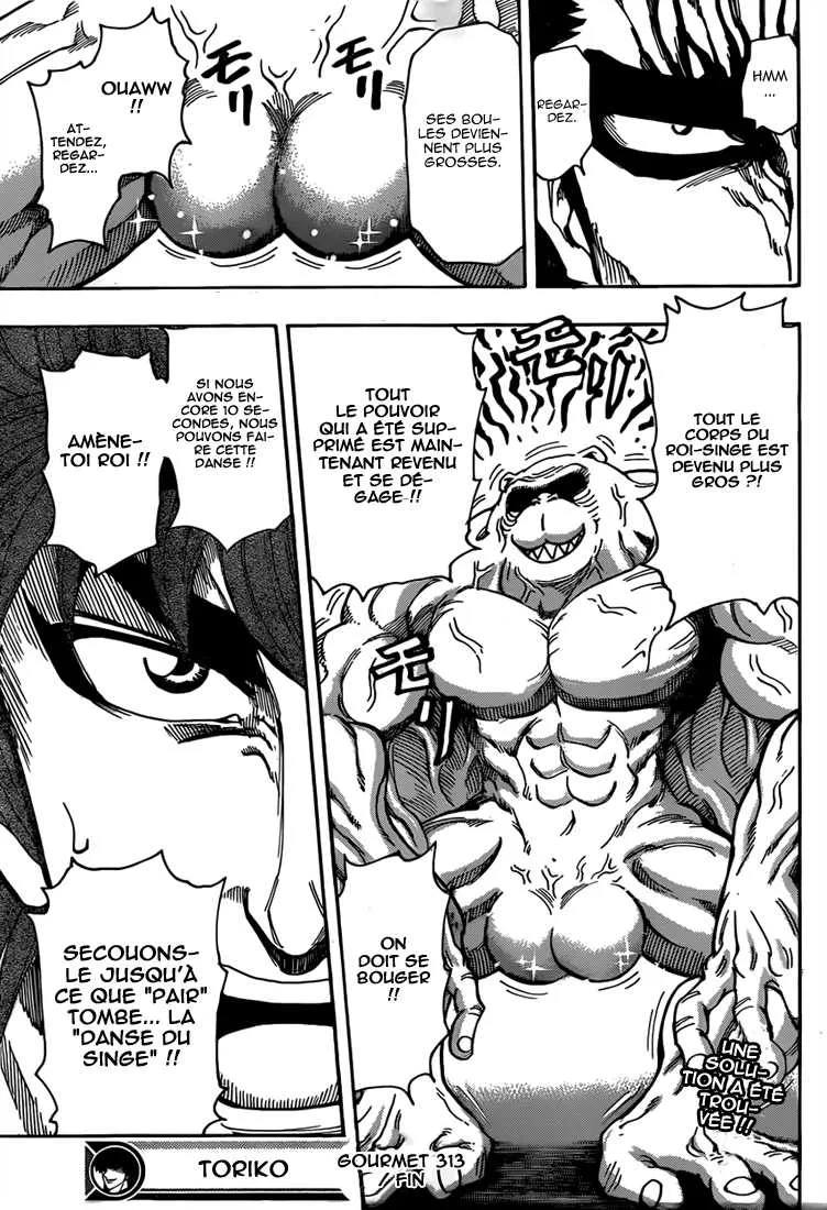 Toriko - 313 - 6556a08a29bfe.webp