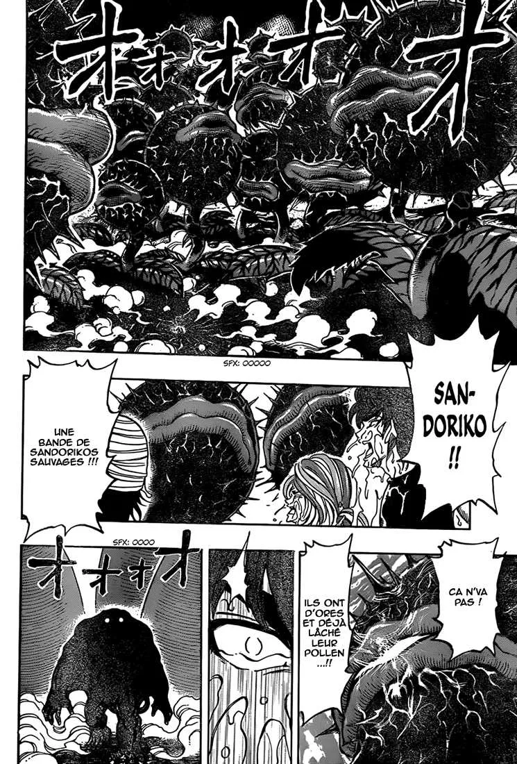 Toriko - 315 - 6556a090327b6.webp