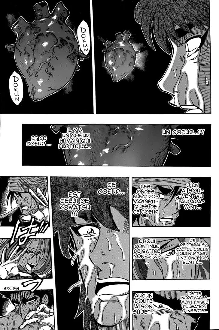 Toriko - 317 - 6556a0969934e.webp