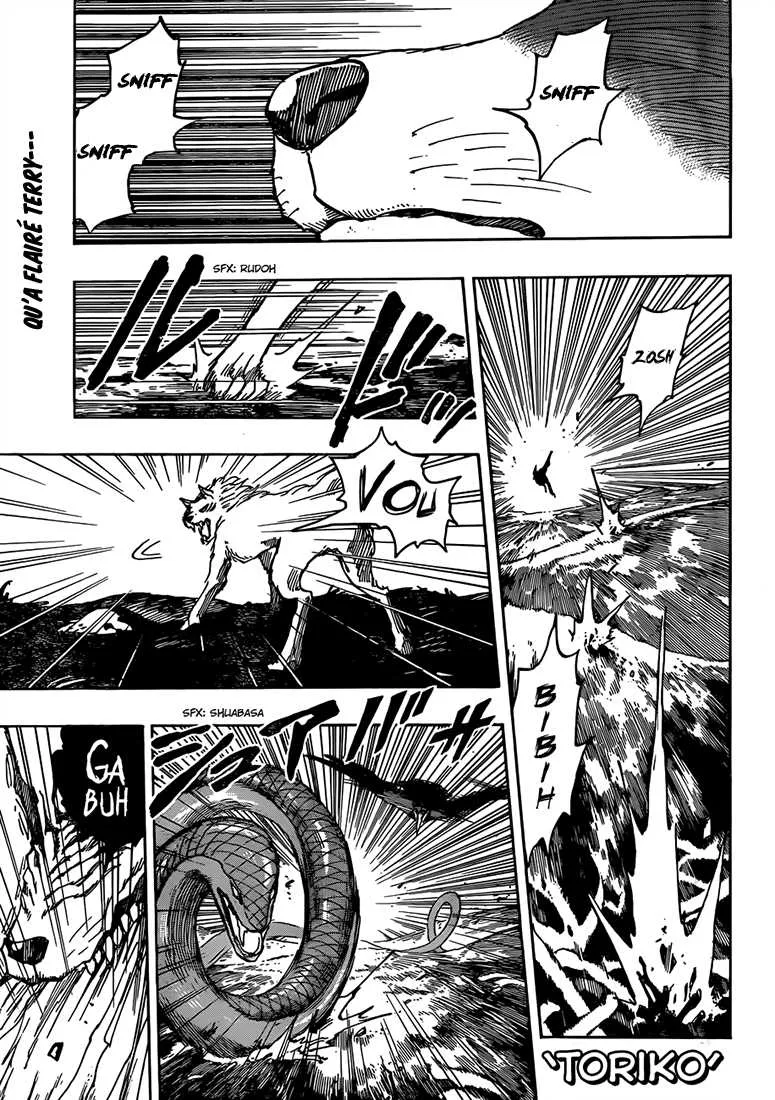Toriko - 319 - 6556a09aa05f9.webp
