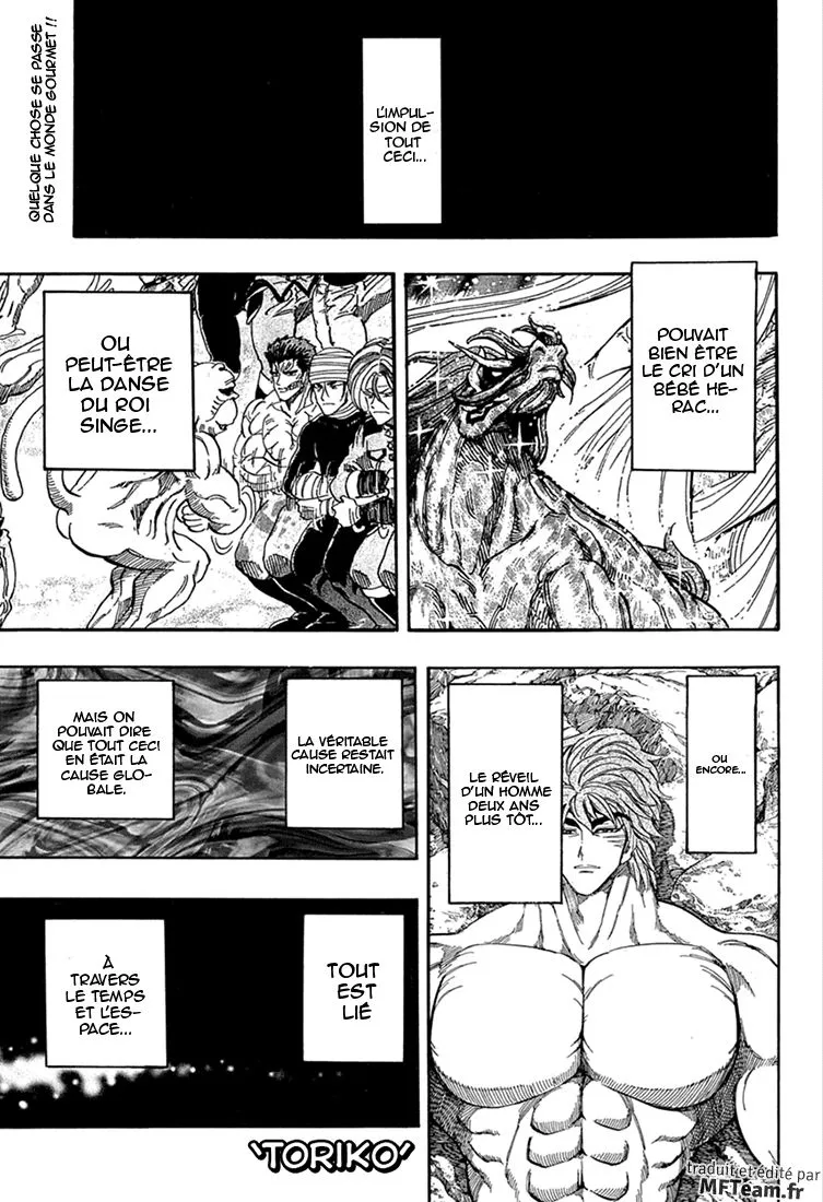 Toriko - 335 - 6556a0d7b6a9e.webp