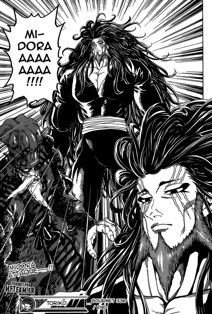 Toriko - 336 - 6556a0de676c0.webp