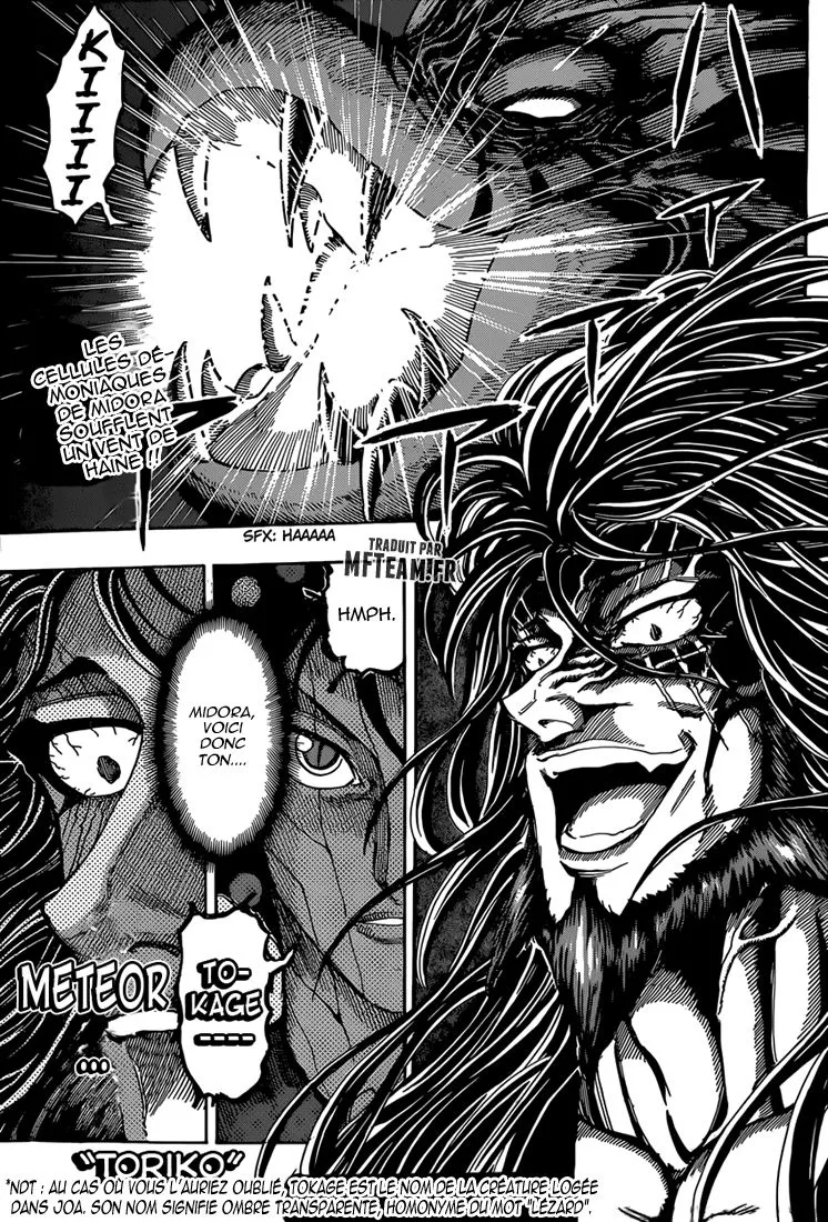 Toriko - 339 - 6556a0e4f0c8d.webp