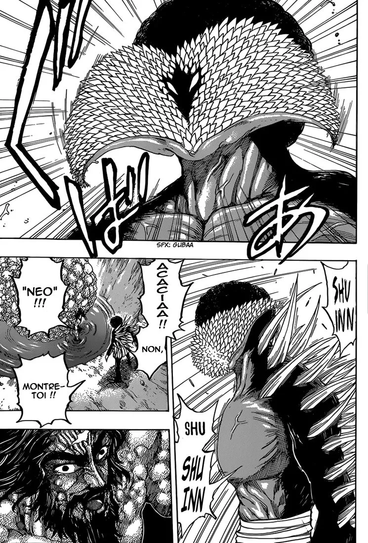 Toriko - 340 - 6556a0ec03a11.webp