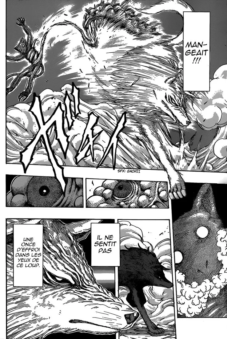 Toriko - 341 - 6556a0efb8ea7.webp
