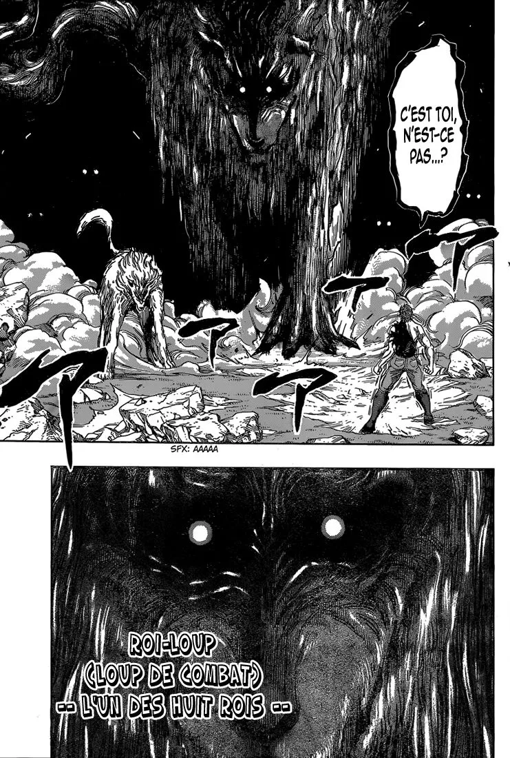 Toriko - 342 - 6556a0f47f36f.webp