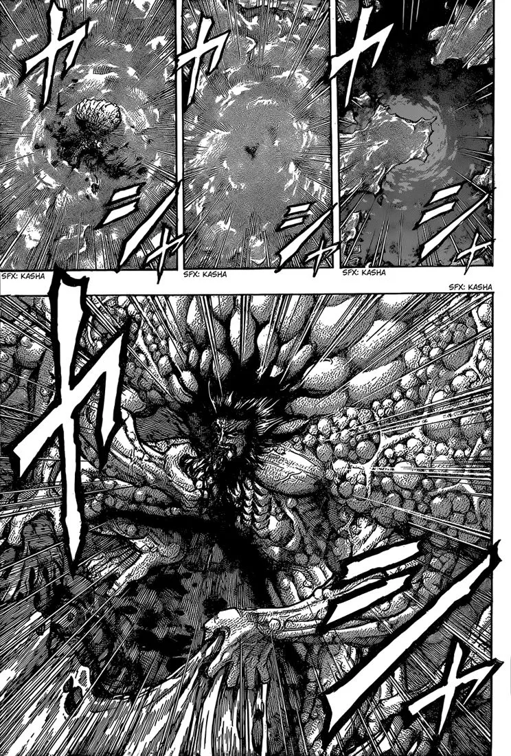 Toriko - 343 - 6556a0f6ee93c.webp