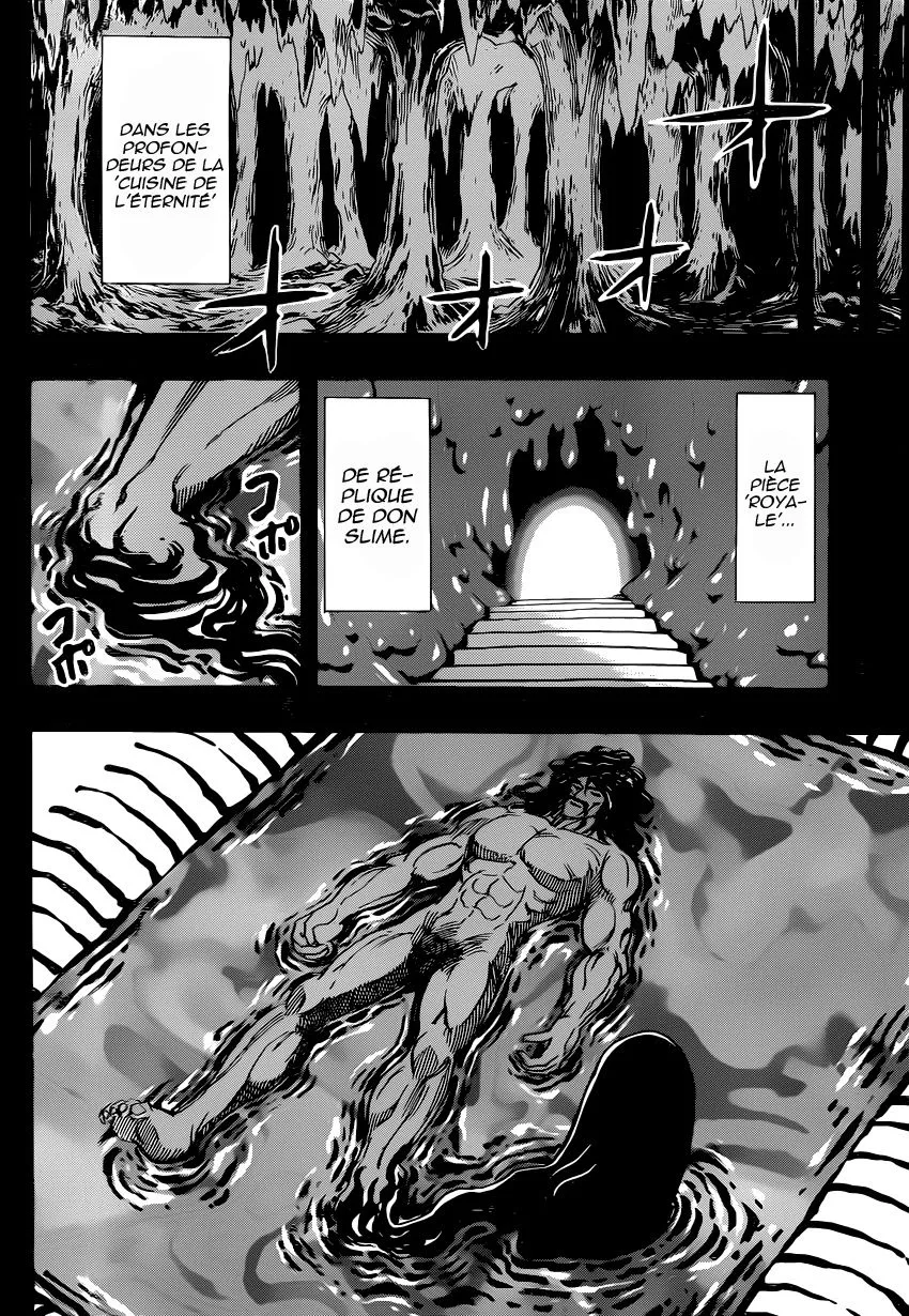 Toriko - 347 - 6556a1085c5c0.webp