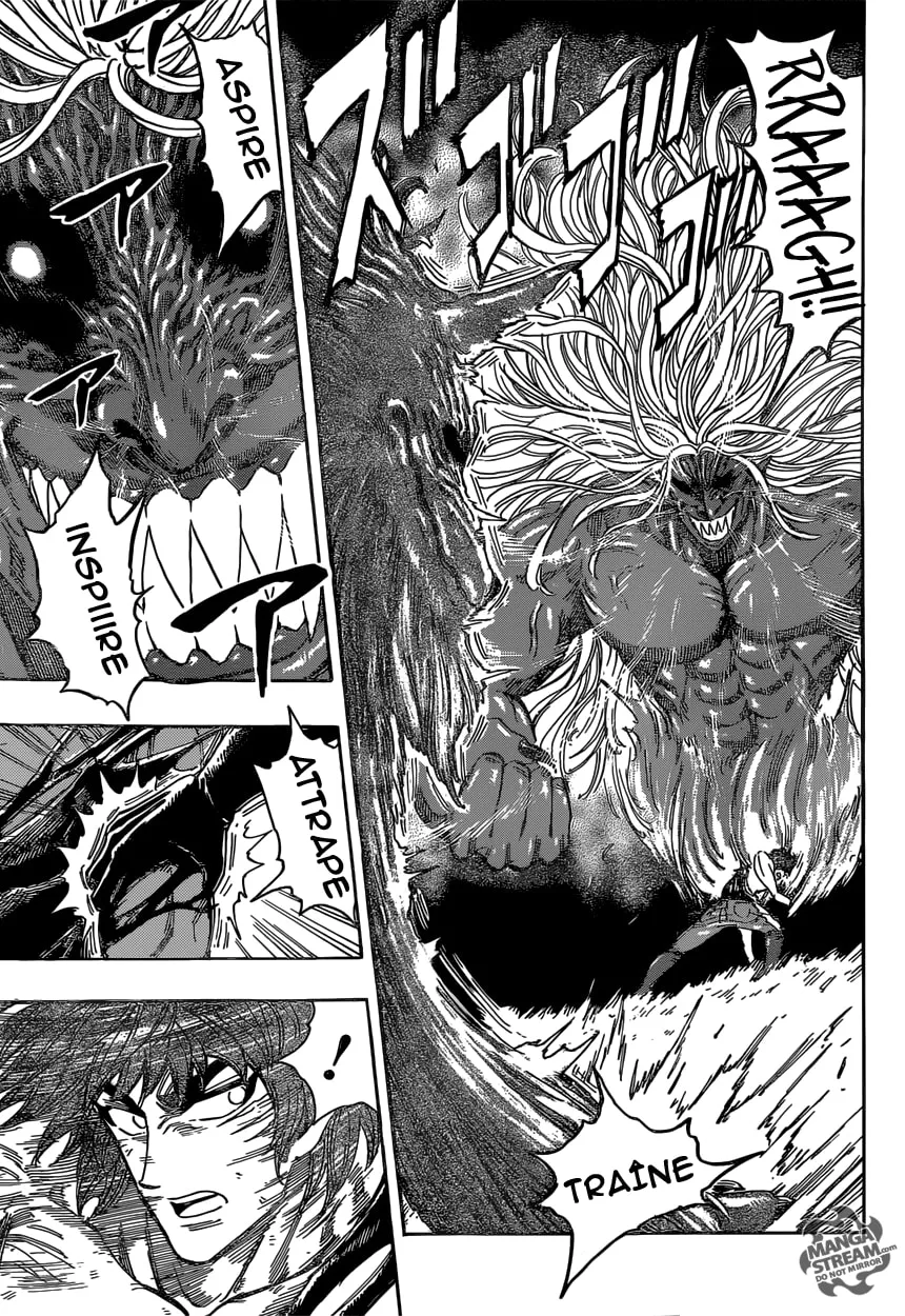 Toriko - 355 - 6556a12b94e14.webp
