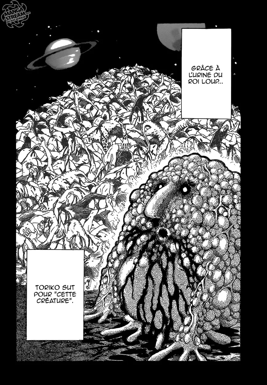 Toriko - 355 - 6556a12dc7eb7.webp