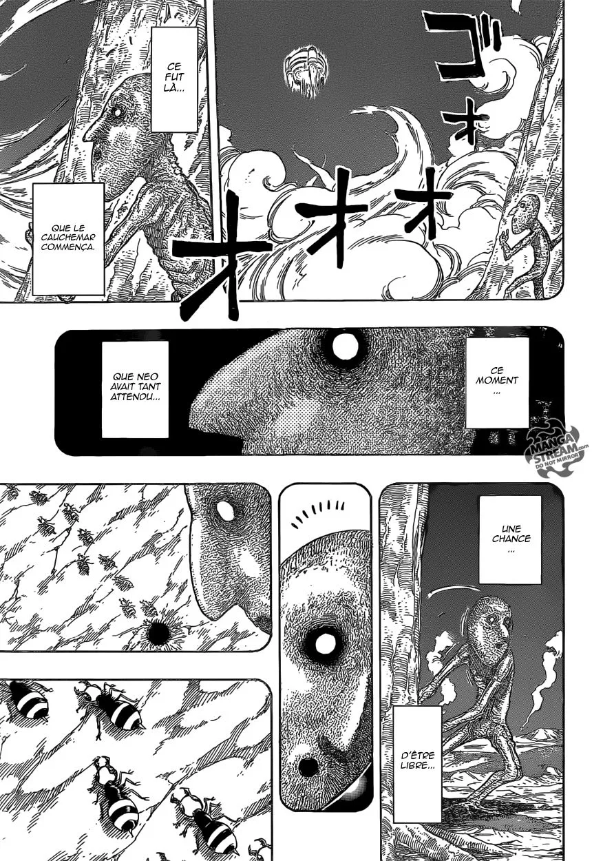 Toriko - 357 - 6556a134876fa.webp