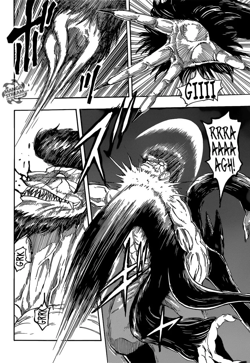 Toriko - 365 - 6556a15a8bc1a.webp