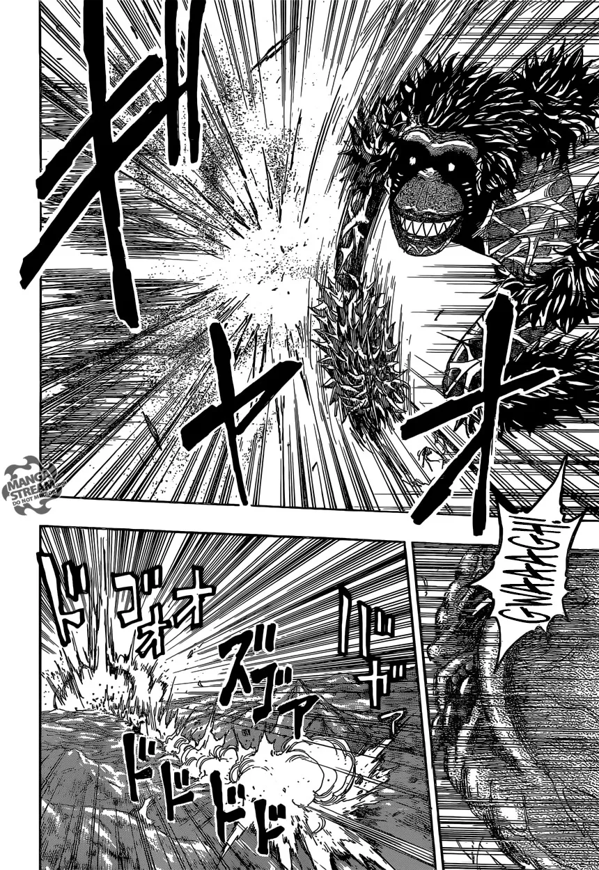 Toriko - 375 - 6556a18f992cc.webp