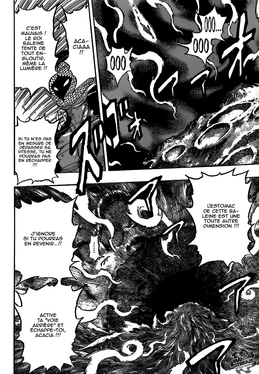 Toriko - 377 - 6556a195b9d77.webp