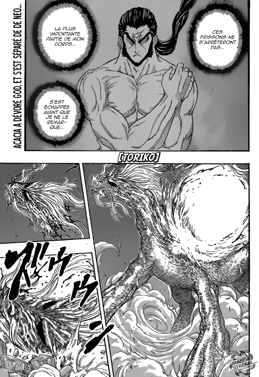 Toriko - 381 - 6556a1a999e3d.webp