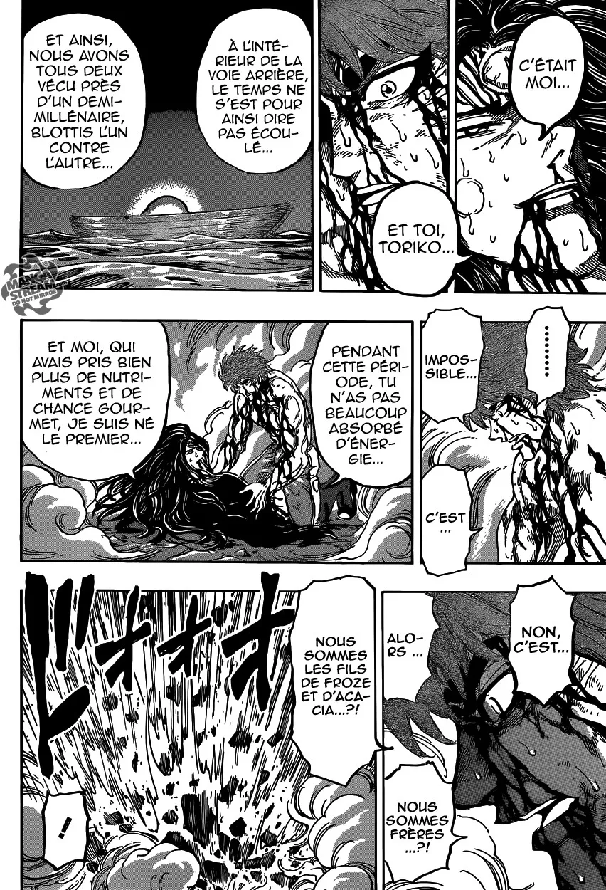 Toriko - 387 - 6556a1c3ba7c1.webp