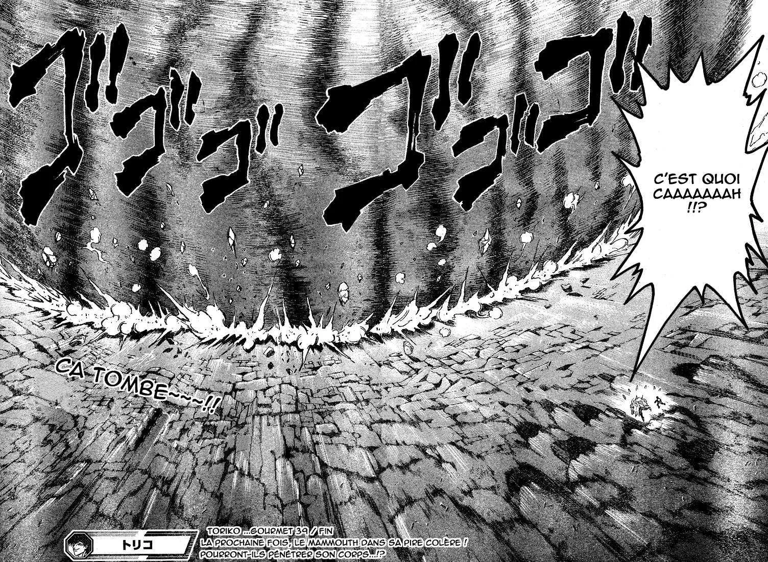 Toriko - 39 - 6556a1d23e8f6.webp
