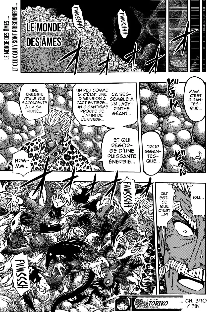 Toriko - 390 - 6556a1d6ef83e.webp